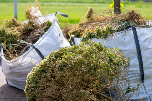Best Yard Cleanup Services  in Hurley, WI