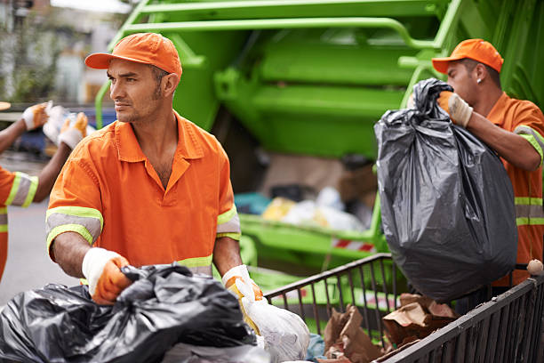 Debris Removal in Hurley, WI